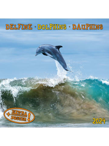 TUSHITA Kalender - Dolphins/Delfine 2024