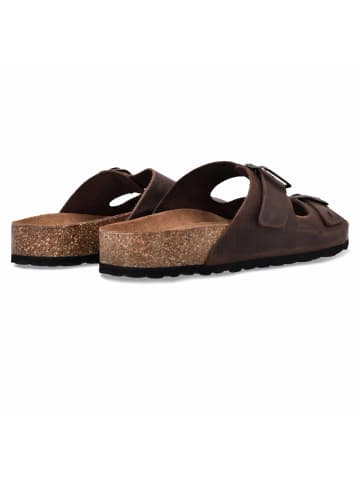 SALAMANDER Clog in braun