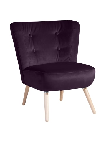 58 aufm Kessel SESSEL Kassi Bezug Samtvelours Buche natur / purple