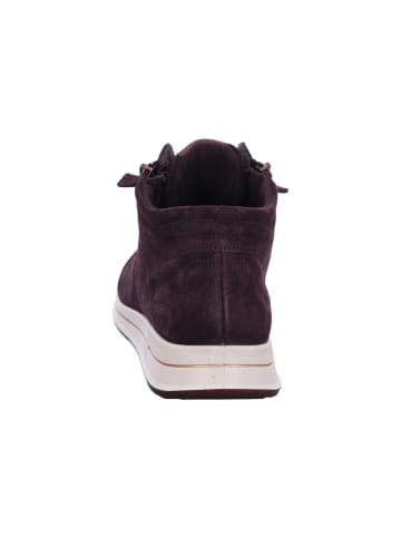 Ara Shoes Hightop-Sneaker Osaka in amarone