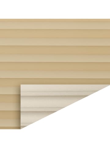 Lichtblick Plissee, Faltrollo in Beige