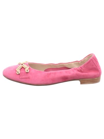 Donna Carolina Ballerina elegant in Mehrfarbig