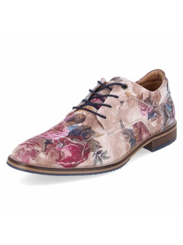 Bullboxer Halbschuhe in taupe