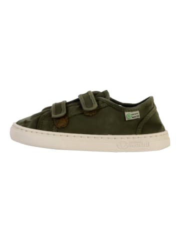 natural world Kinder-Tennisschuhe mit Klettverschluss Grün