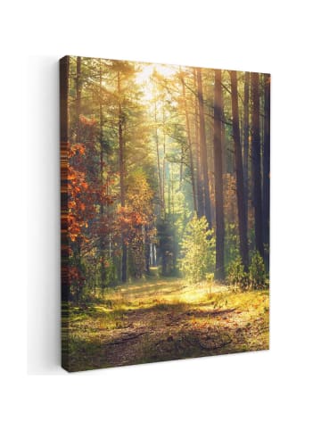 MuchoWow Leinwand bilder Waldpfad (BxH)