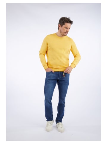 HECHTER PARIS Rundhalspullover in yellow