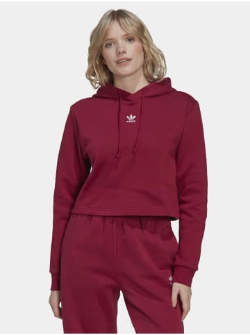 adidas Kapuzenpullover in legacy burgundy