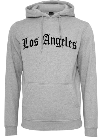 Mister Tee Hoodie in Grau