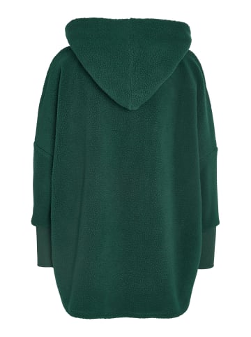 Noisy may Coatigan in Ponderosa Pine