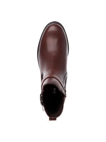 Tamaris Stiefelette in MUSCAT