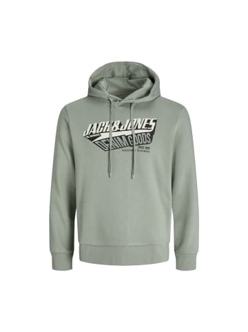 Jack & Jones Sweatshirt in iceberg green