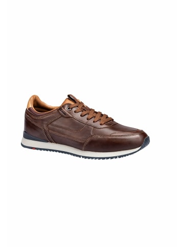 LLOYD Sneaker für Herren in dunkel-braun