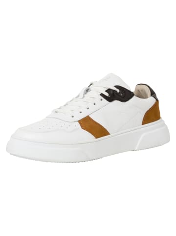 Marco Tozzi BY GUIDO MARIA KRETSCHMER Sneaker in WHITE/BLACK