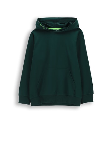 Coccodrillo Trainingsjacke in grün