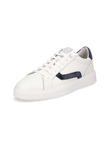 Marco Tozzi Sneaker in weiß blau