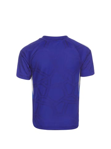 adidas Performance Trikot Condivo 22 in blau / weiß