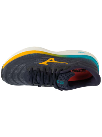 Mizuno Mizuno Wave Sky 9 in Grau