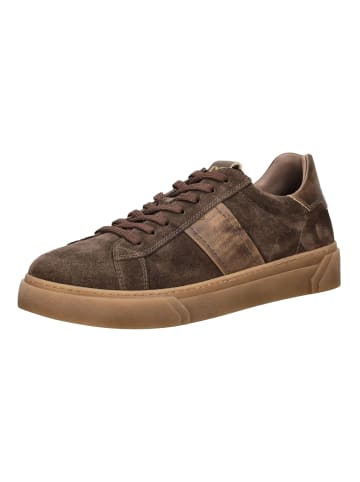 Nero Giardini Sneaker in Braun