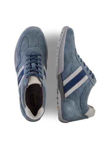 Camel Active Leder Sneaker mit klassischer Schnürung in Blau