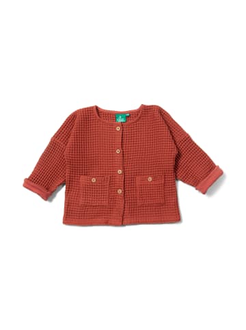 Little Green Radicals Organic Waffle Cotton Jacket in Orange
