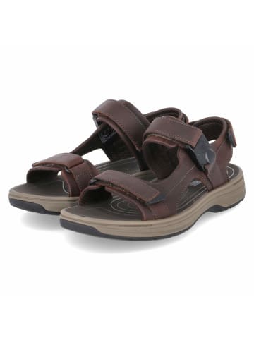 Clarks Sandalen SALTWAY in Braun