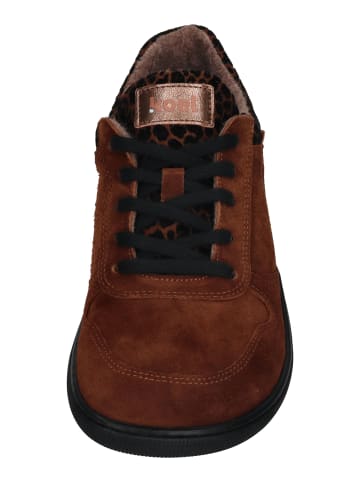 KOEL Sneaker Low FRANCIE LEO in braun