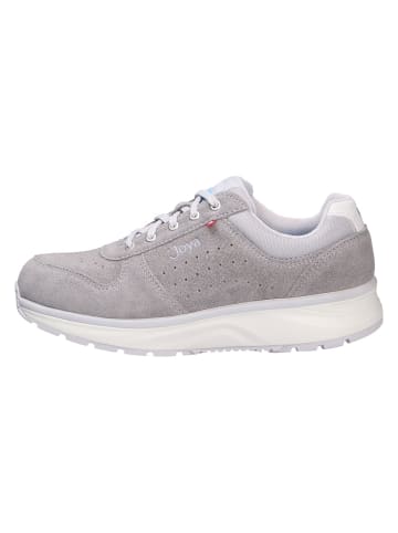 Joya SchnĆ¼rschuh DYNAMO CLASSIC W LIGHT GREY in grau