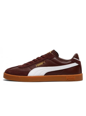 Puma Shoes Sneaker Club II ERA in Braun