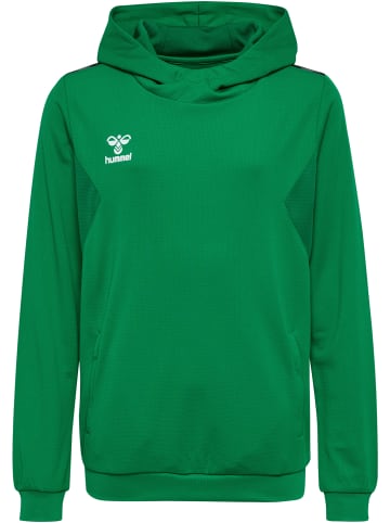 Hummel Hummel Kapuzenpullover Hmlauthentic Kinder in JELLY BEAN