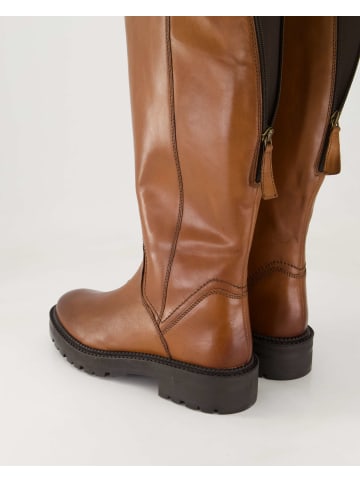 Terry Klassische Stiefel in Braun