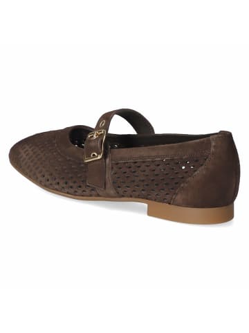 Paul Green Ballerina in brown