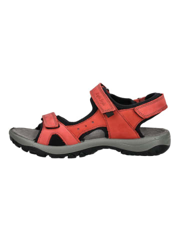 Imac Sandalen in Rot/Schwarz