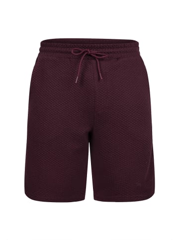 JIMMY SANDERS Jogger Short in Bordeaux
