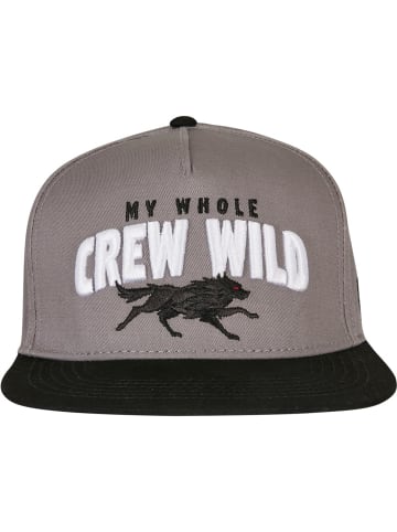 Cayler & Sons Cap in Grau