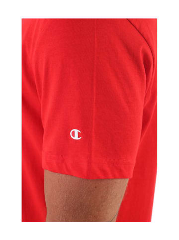 Champion Jersey in bunt