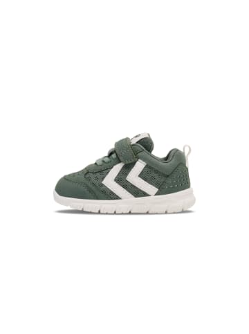 Hummel Klettverschluss Sneaker Crosslite Infant Lebensstil Kinder in LAUREL WREATH