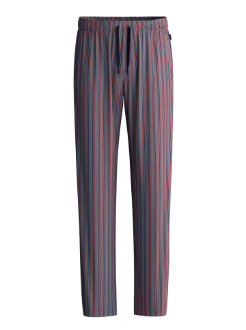 Calida Pants in sparrow brown