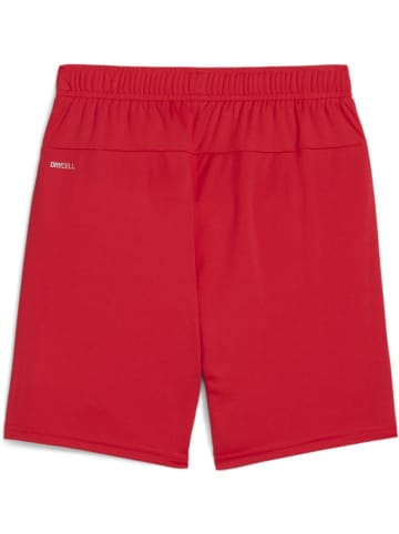 Puma Sporthose "TeamGoal Shorts Jr" in Rot