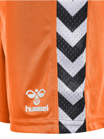 Hummel Hummel Kurze Hose Playful Shorts Lebensstil Kinder in SHOCKING ORANGE