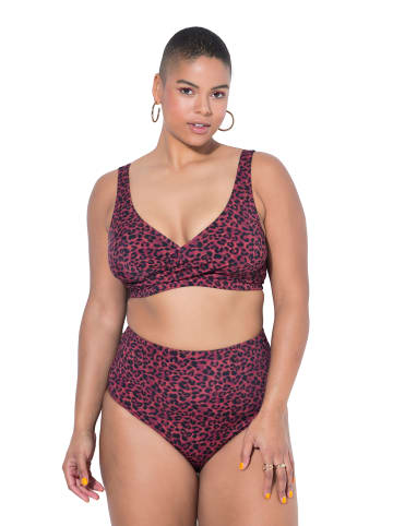 Studio Untold Bikini in aubergine