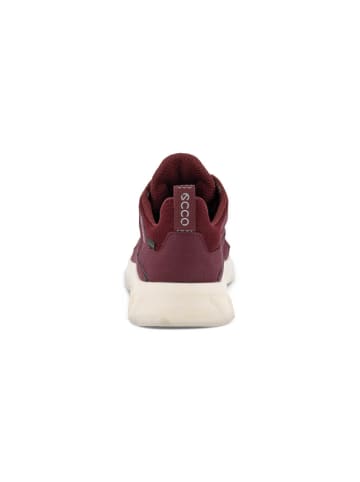 Ecco Sneaker in rot