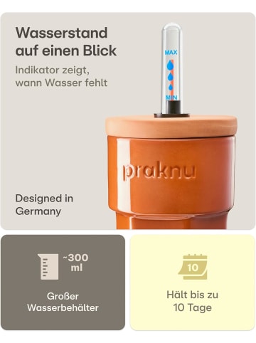 Praknu 3 x Tonkegel mit Deckel & Wasseranzeige – bis 10 Tage Bewässerung