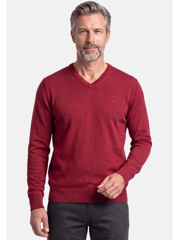 Pullover Basic in Dunkelrot