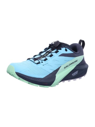 Sport-Schuhe SENSE RIDE 5 GTX W in Blau