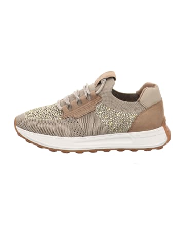 Sneaker Low in Beige