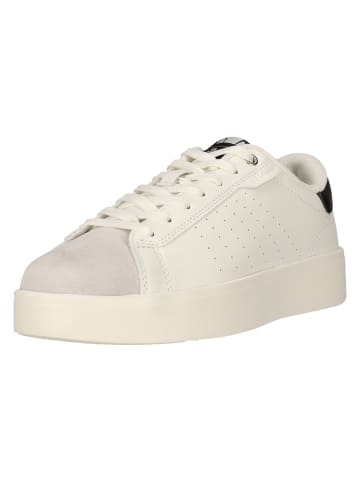 Sneaker Ned in 151ELS White Black