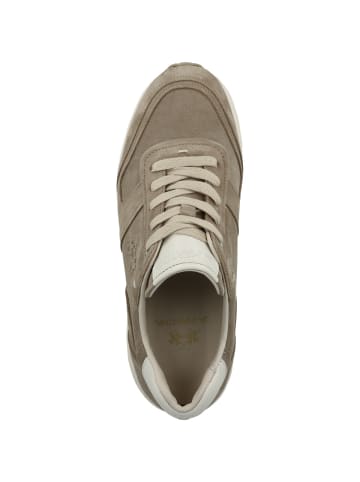 Sneaker low LFM261 in hellbraun