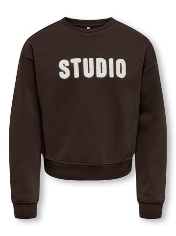 Sweatshirt in Coffee Bean 1