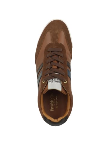 Sneaker low Vasto Low in braun
