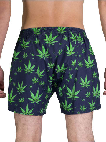 Boxershorts Hanf in Hanf